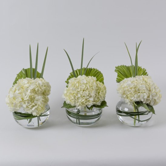 MFLOWERS 21