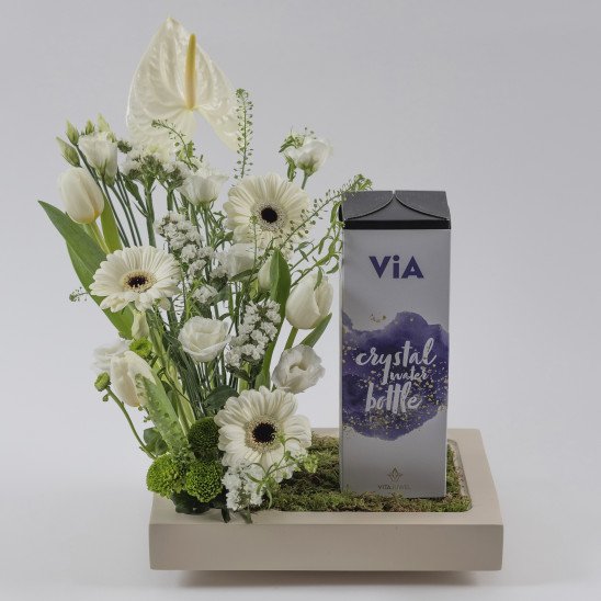 MFLOWERS 22